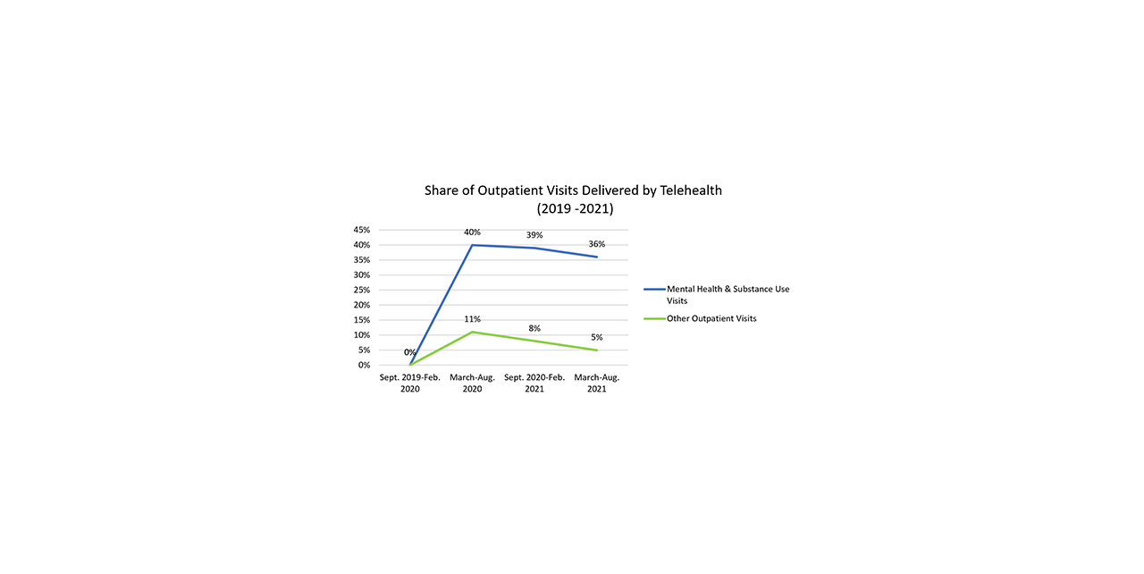 Outpatient Visits 500x249