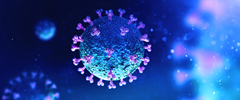 3D model of a virus