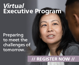 Virtual Executive Program 300x250